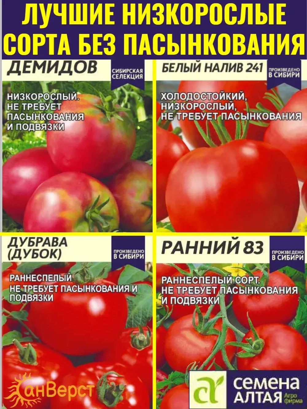 Семена низкорослых томатов без пасынкования и подвязки