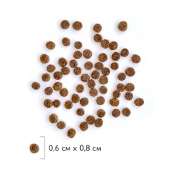 Brit premium dog adult small сухой корм для взрослых собак мелких пород с курицей - 1 кг