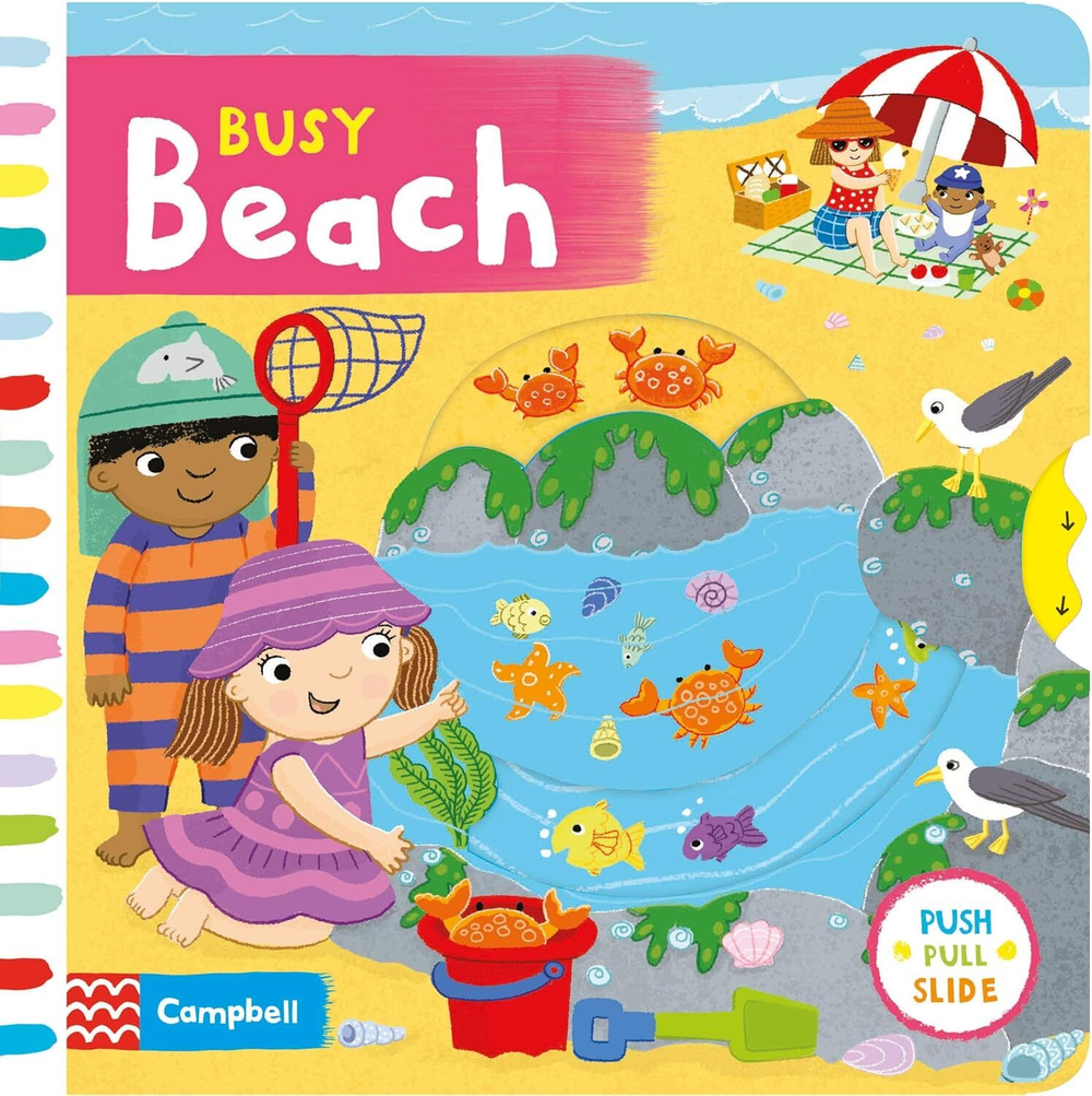 Busy Beach (board book)