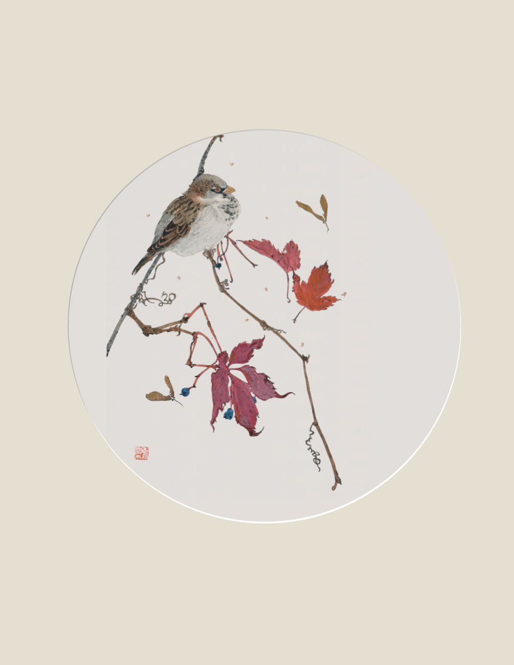 Мир в капле дождя