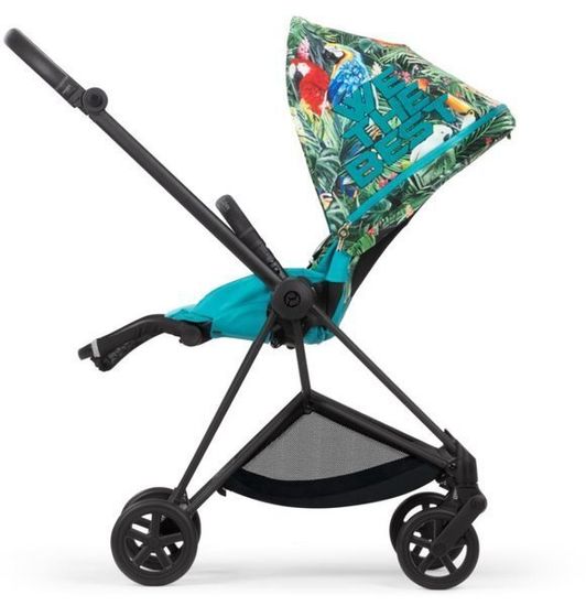 Прогулочная коляска Cybex Mios Fe DK We the Best
