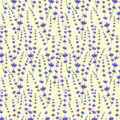 лаванда на желтом