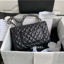 Chane1 Classic Flap Bag 25 cm
