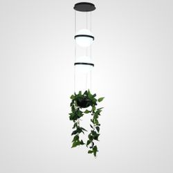 Подвесной Светильник Palma Wall Lamp 2 Шара + 1 Вазон By Imperiumloft