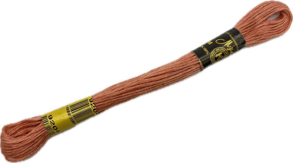 Нитки вышивальные Мулине 10м (9204)