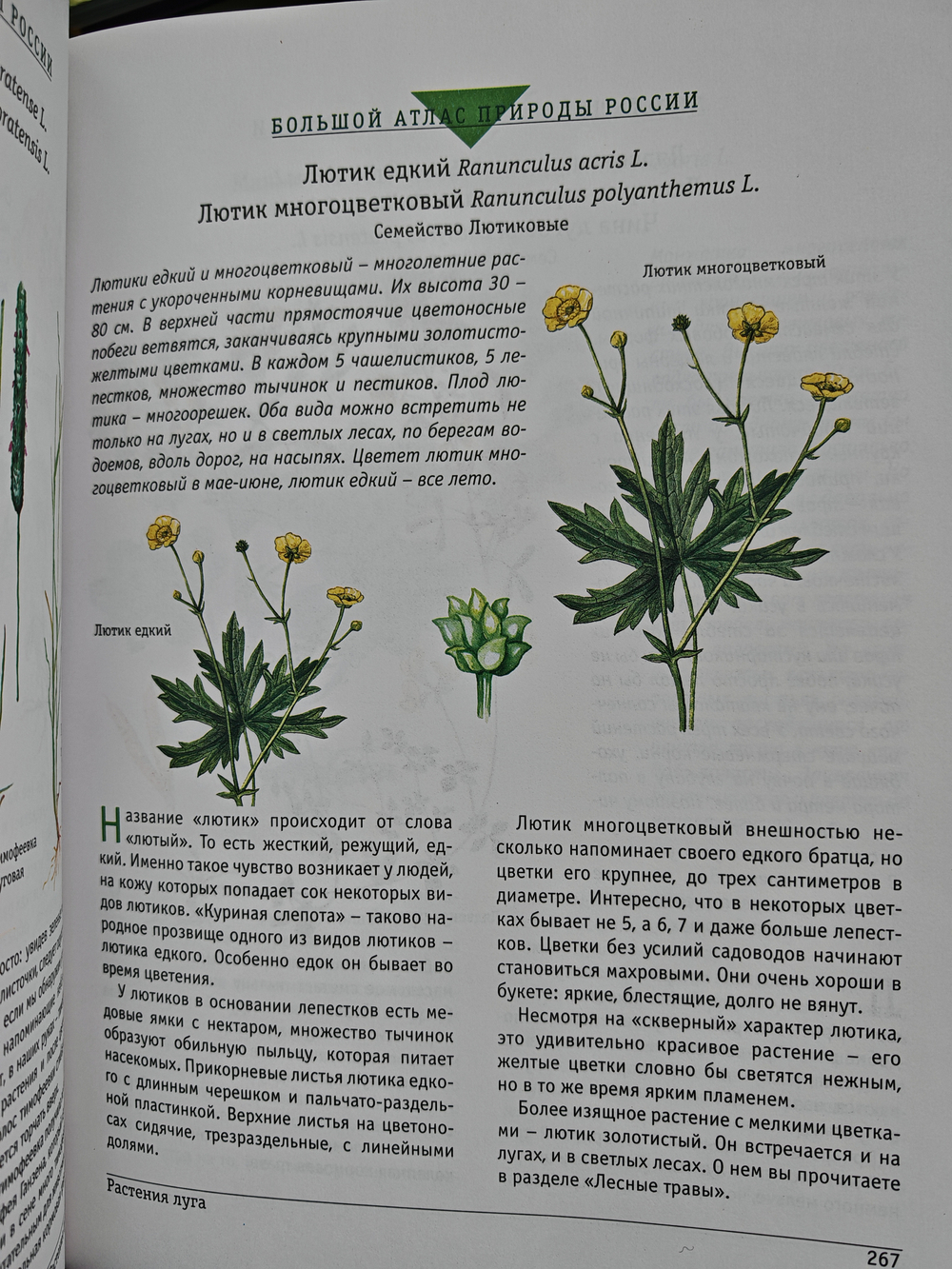 Большой атлас природы России