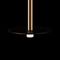 Подвесной светодиодный светильник Loft IT Reed 10358/830 Disk AB