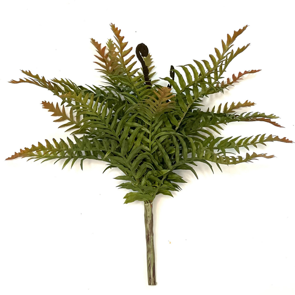 Папоротник зелёно-коричневый 37 см.