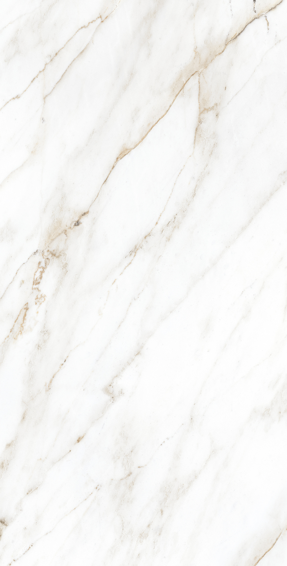 Керамогранит, Creanza, SELVA GOLD, 1200x600 мм, карвинг про