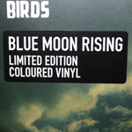 Noel Gallagher's High Flying Birds / Blue Moon Rising (Coloured Vinyl)(12" Vinyl EP)