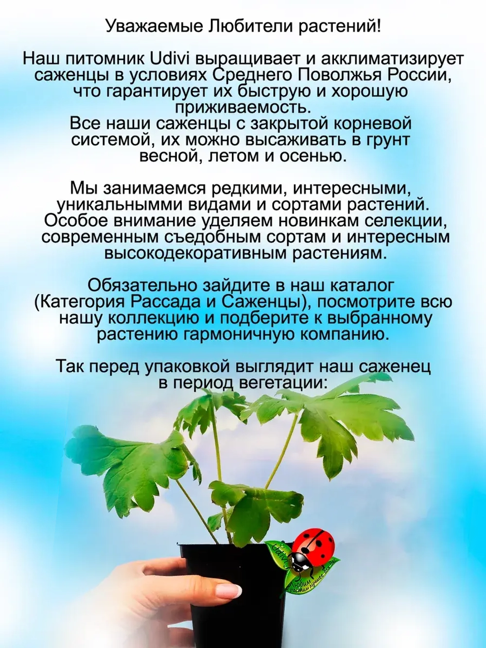 Дельфиниум Лавандовый с белой пчелкой Lavender White Bee