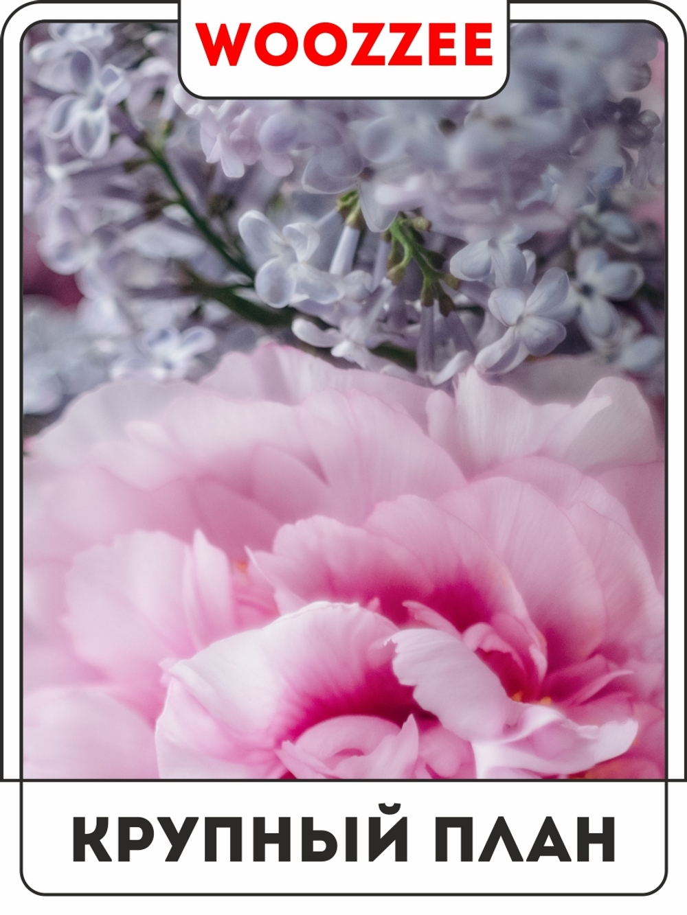 Набор постеров "Сирень с пионом" 3шт.