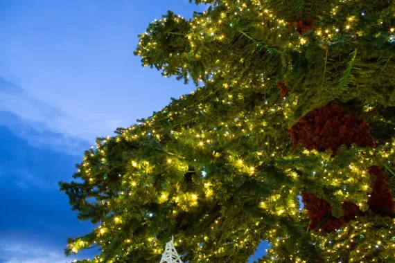 Уличная светодинамическая елка Таежная Премиум зеленая 19 м., ствольная, ПВХ, Green Trees (GT19TAPVCLED)