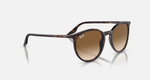 RAY-BAN RB2204 902/51