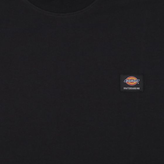 Футболка мужская Dickies Skateboarding Mount Vista Shirt артикул:WSSK6 - купить в магазине Дайс