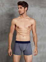Мужские трусы-боксеры в полоску Doreanse Stripes (Размер: L) (Цвет: темно-синий)