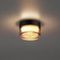 Настенно-потолочный светильник Odeon Light Ronda Hightech 7158/6CL