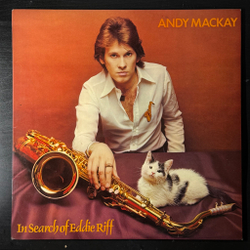 Виниловая пластинка Andy Mackay - In Search Of Eddie Riff LP