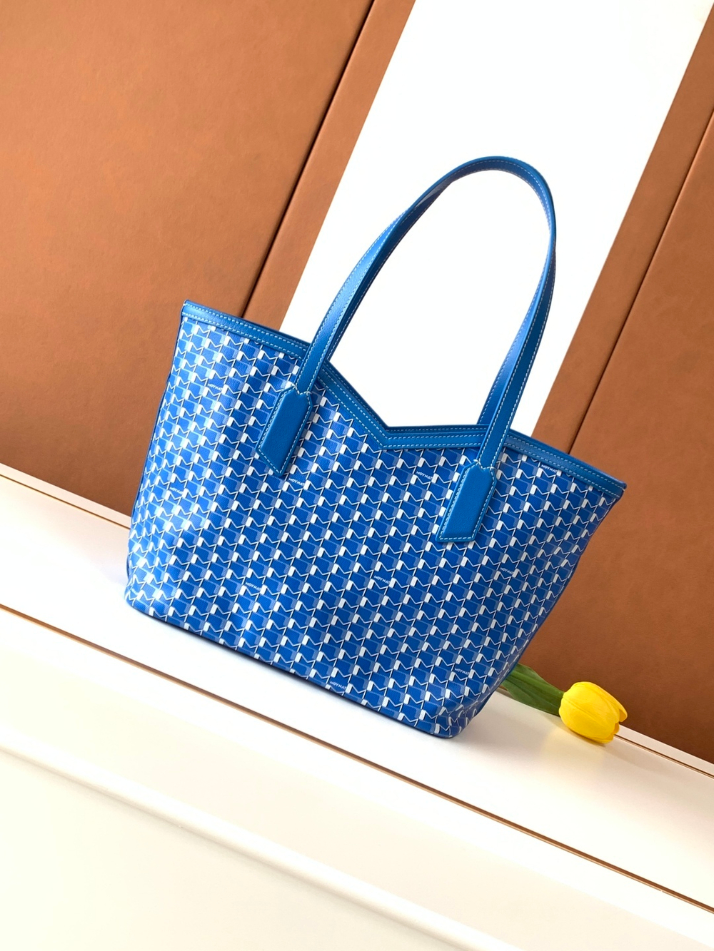 Moynat M Tote PM