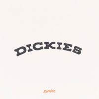  Футболка мужская Dickies Outdoor артикул:DK0A4Z8PC481 - купить в магазине Дайс