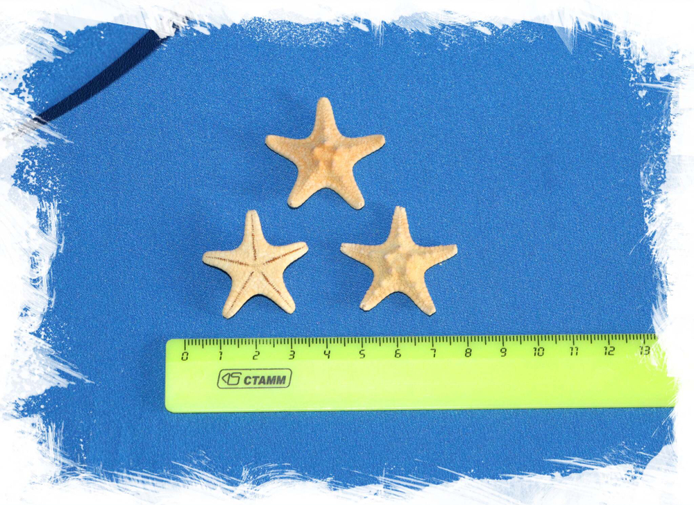 Морские звёзды для эпоксидной смолы. Купить