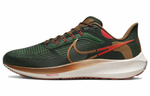 Кроссовки Nike Air Zoom Pegasus 39 "A.I.R. Hola Lou"