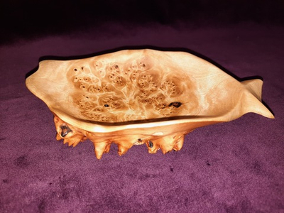 Орешница, кап березы