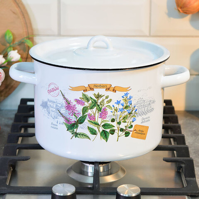 Кастрюля 4,5л "Гербарий"