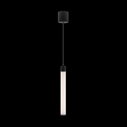 Подвесной светильник Maytoni Ray P022PL-L10B