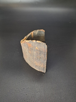 Бивень мамонта для коллекции и поделок