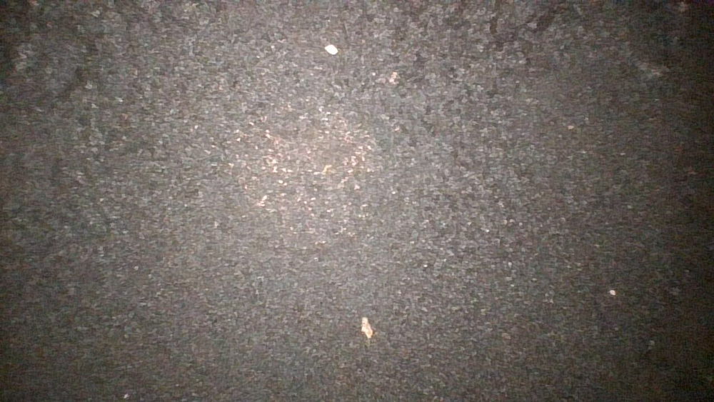 Двигатель Yamaha FJR1300A 2010 P510E