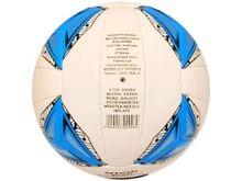 Волейбольный мяч #00906