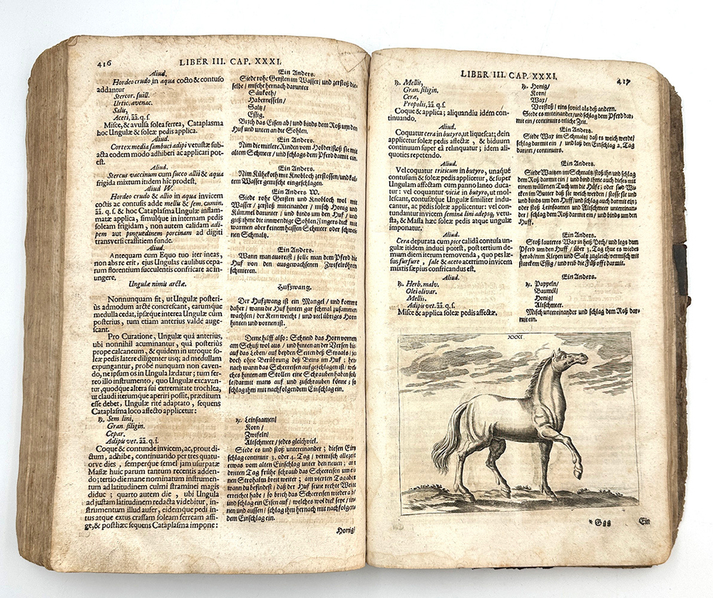 Винтер Г. С. Гиппиатр. Эксперт по лошадям, или полное собрание по медицине. 1678