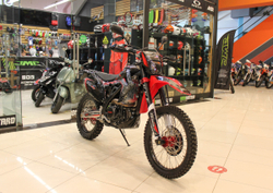 Кроссовый мотоцикл FXmoto Raptor (NC300) 21/18