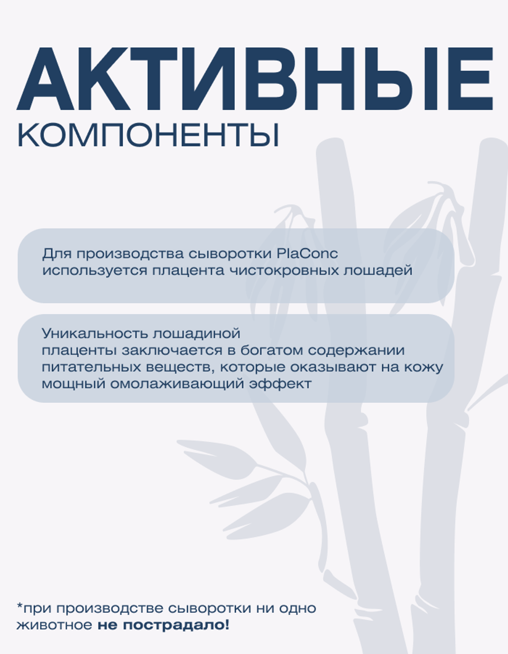Омолаживающая сыворотка Spa Treatment PlaConc на основе лошадиной плаценты, 30 мл