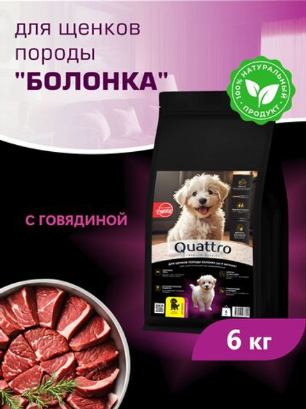 Quattro корм для щенков породы Болонка, с говядиной, 6 кг, QUATTRO