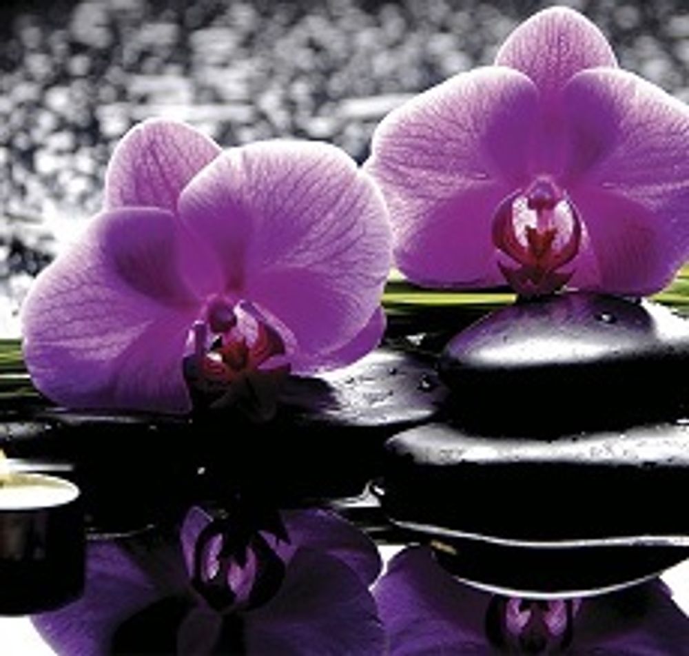 Стеновая панель 2800*610*6 (SP-121 глянец)