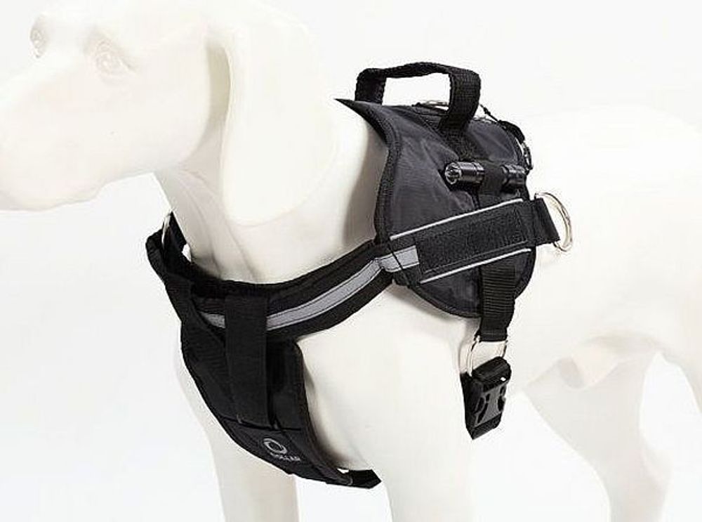 Шлея"Dog Extreme" "Police" №4(с фонариком) (А:70-100см) черная