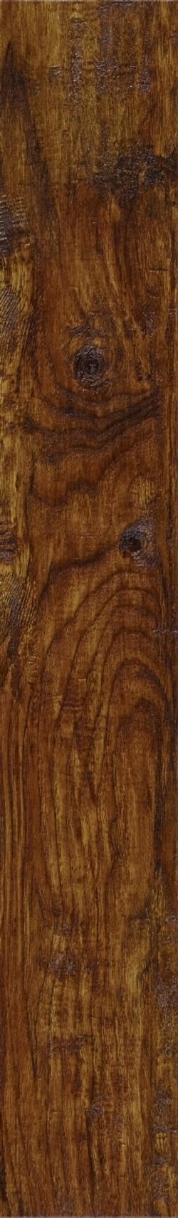 Eastern Hickory 57885