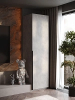 Шкаф Распашной Серый 61х220x52,5 SOHO с полками и ручкой