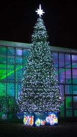 Уличная елка каркасная "Уральская" (пвх) 21 м