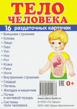 Т.В.Цветкова. СУПЕР. Тело человека. 16 маленьких раздаточных карточек. 0+