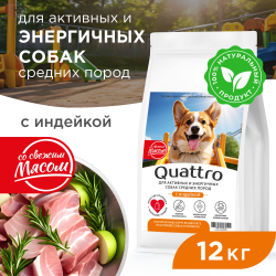 Корм сухой для взрослых собак средних пород, премиум полнорационный комплекс, для активных и энергичных, с индейкой, 12 кг, QUATTRO