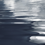 Дизайнерские обои Wall Street Euphoria