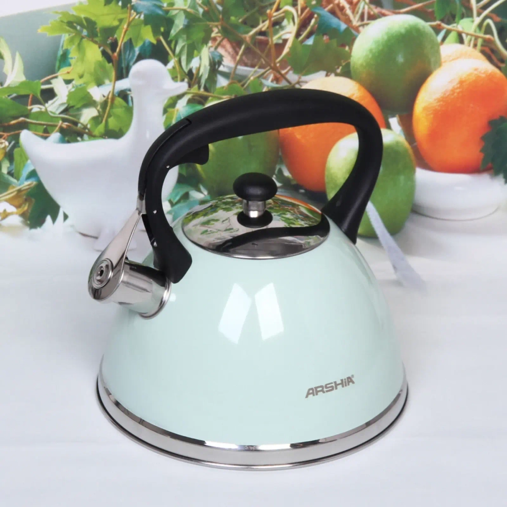 Чайник из нержавеющей стали 3л «ARCHIA» со свистком, мятный