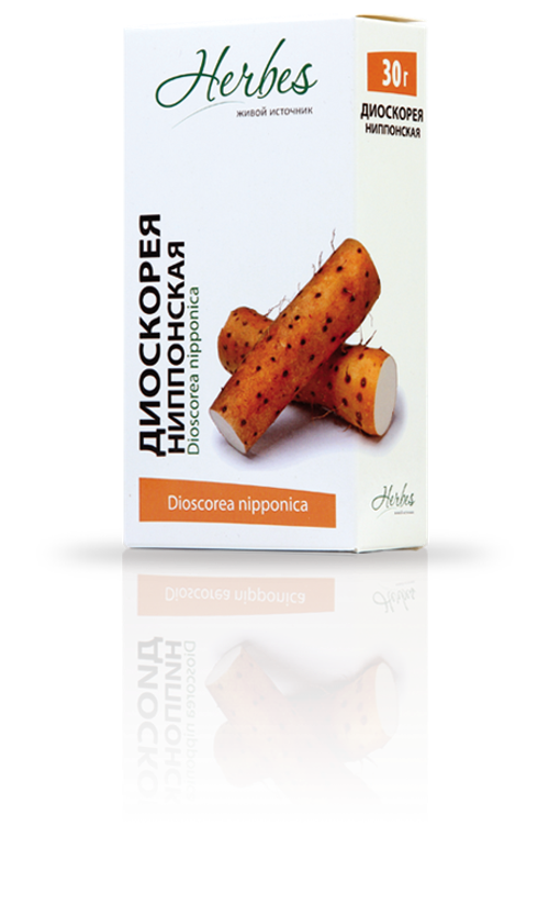Диоскорея ниппонская ф/п №20 Хербес