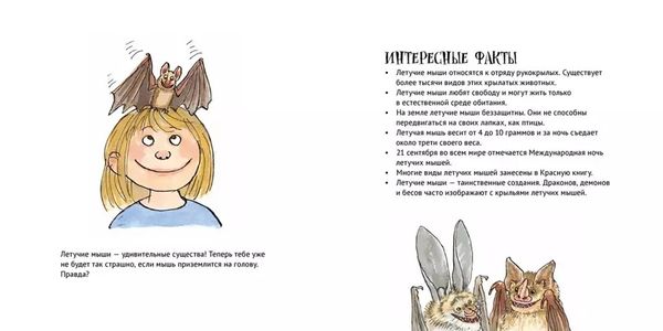 Удивительные летучие мыши