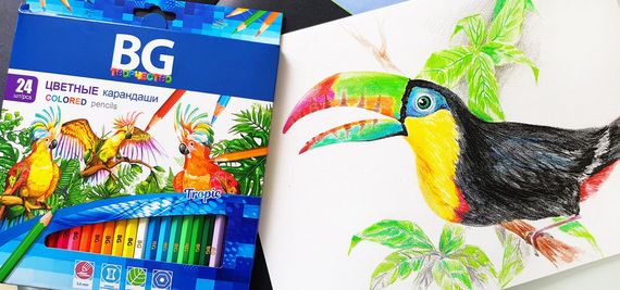 Карандаши цветные "TROPIC", 12 цв