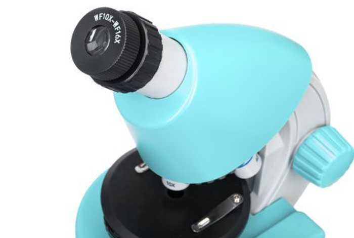 Микроскоп Levenhuk Discovery Micro Marine с книгой