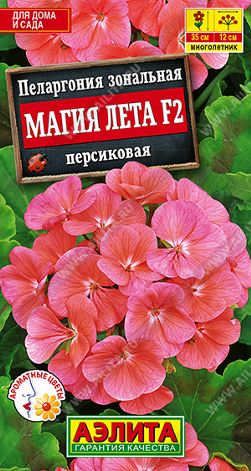 Пеларгония Магия лета персиковая F2 5шт Аэлита